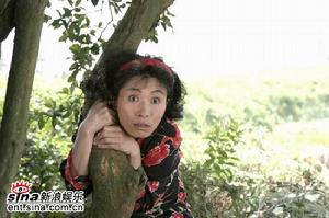 《悠悠寸草心》