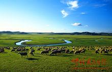 赤峰市元寶山區[內蒙古自治區赤峰市元寶山區]