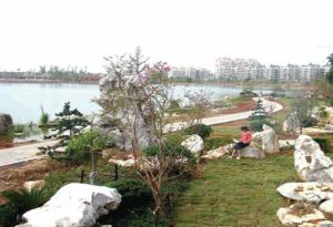 湘陰東湖 湘陰東湖