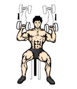 啞鈴推舉 啞鈴推舉