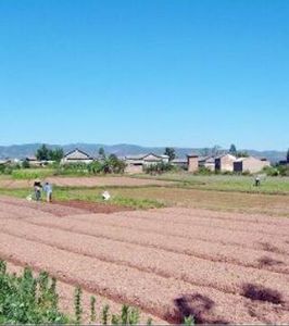 上曹旗廠村 上曹旗廠村