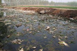 臭水溝[水渠系統]