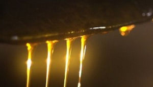 原生態食材 原生態食材