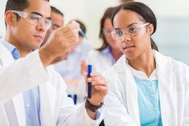 項目助理 項目助理