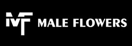male flowers