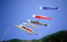 日本端午鯉魚幡