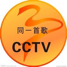 《同一首歌》[電視節目]