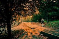 我微笑著走向生活