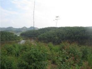 豐享莊村 豐享莊村