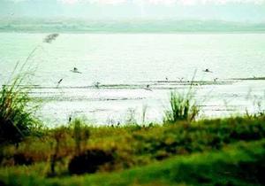 湖北峴山國家森林公園 湖北峴山國家森林公園