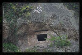 金洞村[江西省奉新縣甘坊鎮下轄村]