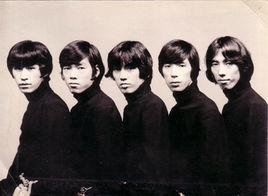 The Tigers The Tigers