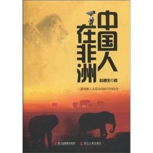 中國在非洲 中國在非洲