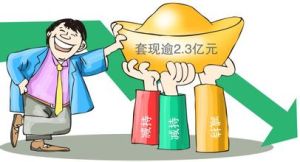 股東激進主義 股東激進主義