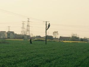 橫大路自然村 橫大路自然村