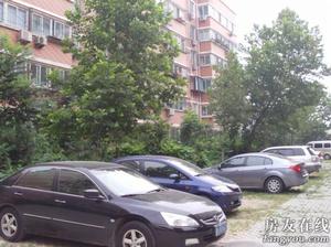 天旺淺水灣 天旺淺水灣