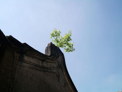 廣東普寧東街道上塘歸湖村