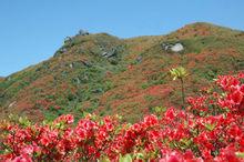 大圍山國家森林公園