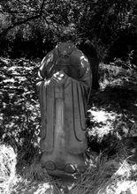 族人提供20170529