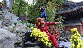 旅遊亂象 旅遊亂象