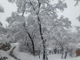 後溝村[甘肅省天水市秦州區下轄村]