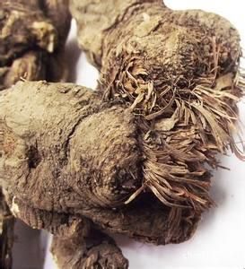 西藏黨參 西藏黨參