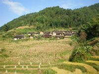 定箐大水井村 定箐大水井村
