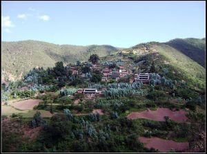 西大章堡村 西大章堡村