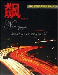 飆:國內首部原創青春賽車小說 飆:國內首部原創青春賽車小說