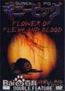血肉之花 血肉之花
