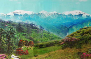 永德大雪山自然保護區 永德大雪山自然保護區