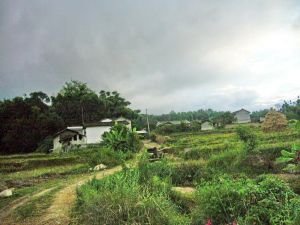 章洛自然村 章洛自然村