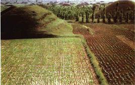 朔州市漢墓博物館