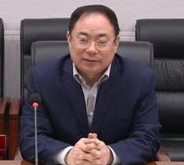 劉振芳[中國鐵路總公司副總經理]