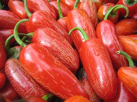 墨西哥辣椒 墨西哥辣椒