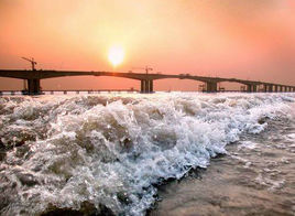 蕭山錢江觀潮城 蕭山錢江觀潮城