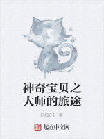 神奇寶貝之大師的旅途 神奇寶貝之大師的旅途