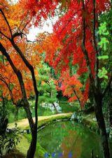 花開一次 花開一次