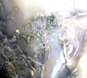 泉水是崑崙山冰雪融化後滲入地下流動噴湧出來的