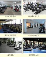 sole[健身器材品牌]