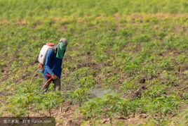 化肥污染 化肥污染