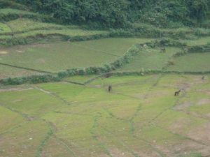 南邊山自然村 南邊山自然村