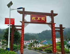 壩上村[江西吉安市井岡山市茅坪鄉下轄村]