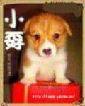 小孬 小孬