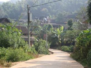 小曼咪村 小曼咪村