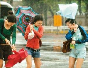 （圖）大風影響