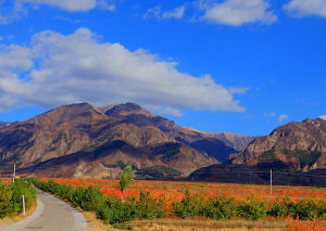 小五台山[河北張家口]