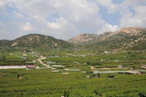 大澤山五龍埠 大澤山五龍埠