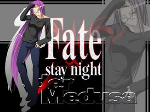 《FATE STAY NIGHT》