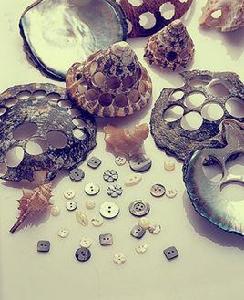 貝殼鈕扣 貝殼鈕扣